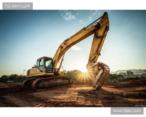 挖掘机在极端环境作业表现 挖掘机在极端环境作业表现